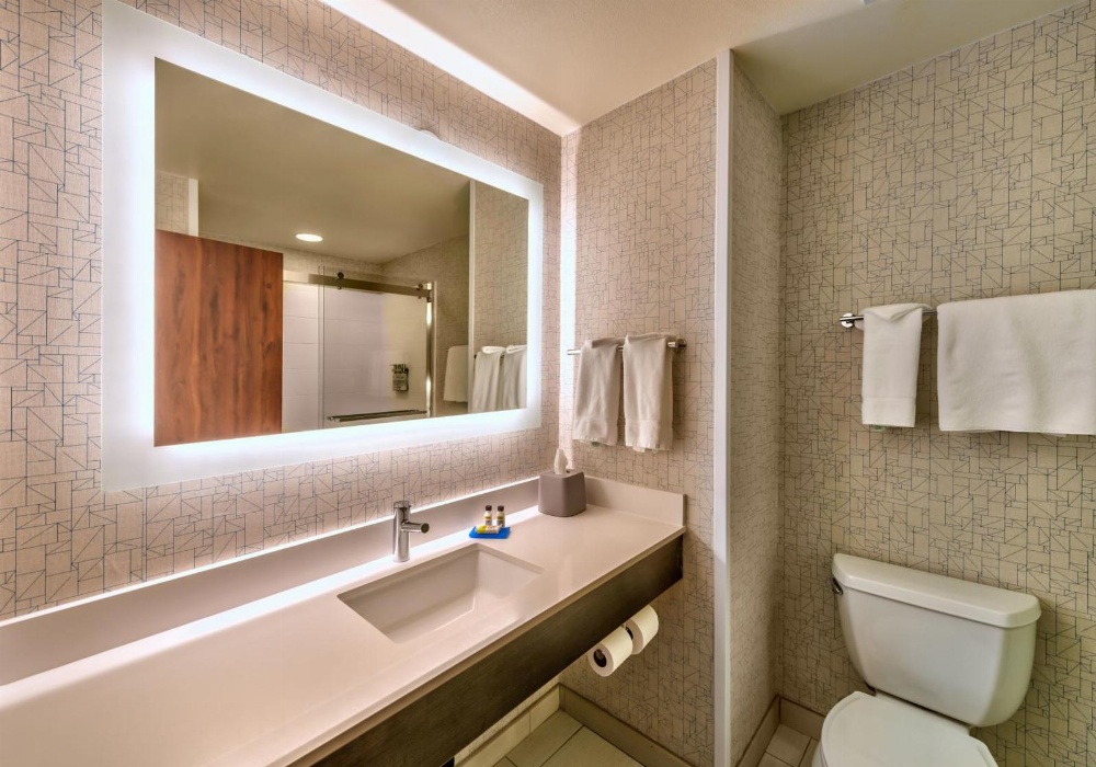 Holiday Inn Express Hotel & Suites Minden Main image