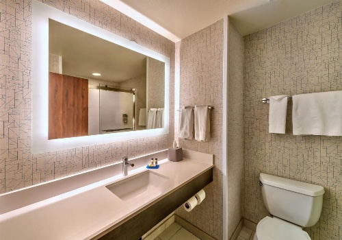 Holiday Inn Express Hotel & Suites Minden image 3